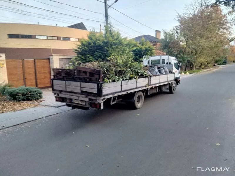  Спил дерева,  покос травы ,  расчистка участков вывоз мусора