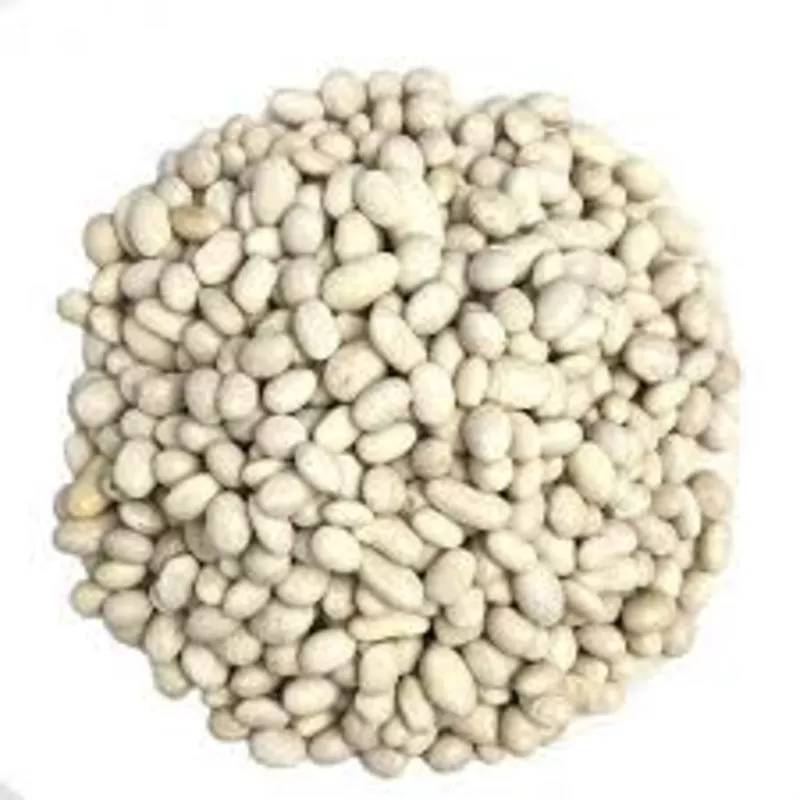 Закуповуємо квасолю оптом на консервування