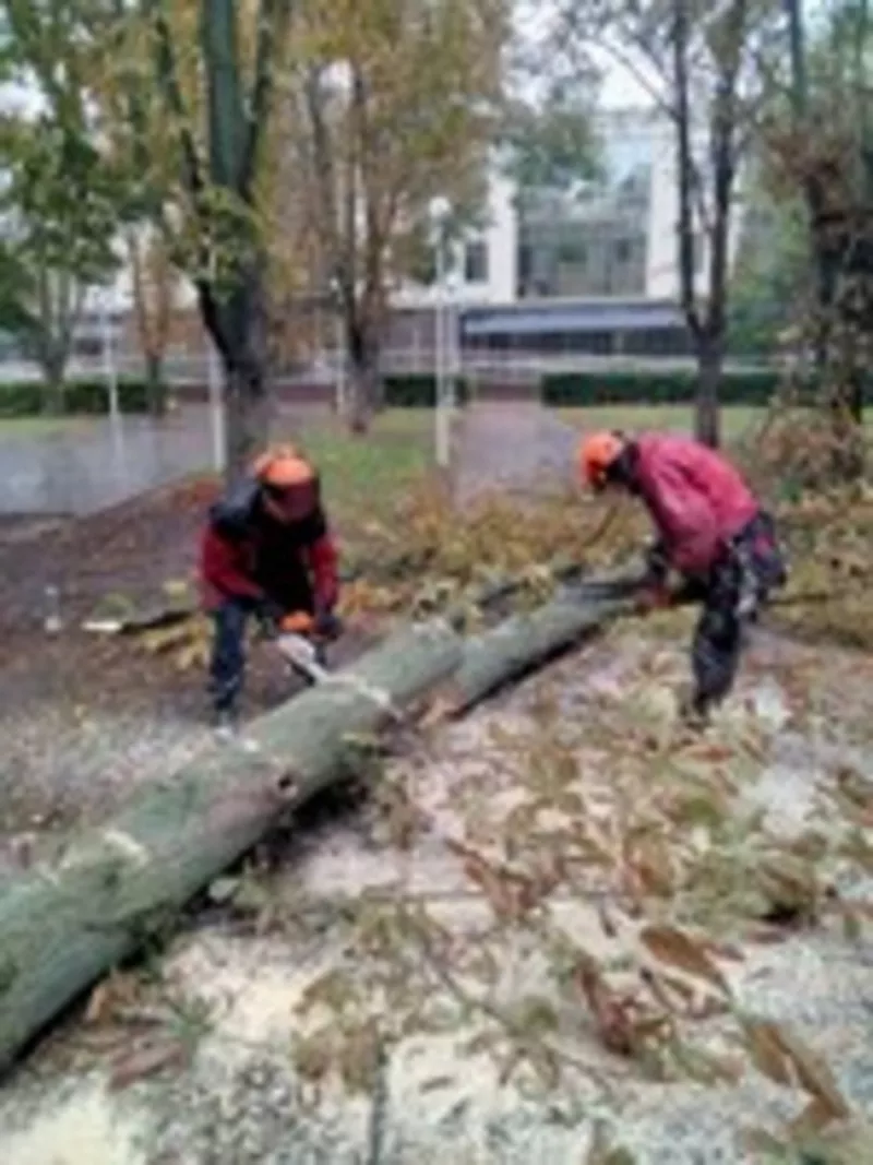 Выполним различные виды физической работы Одеса 3